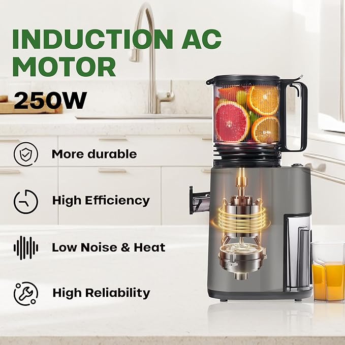 Cold Press Juicer, 5.4" Wide Feed Chute Juicer Machines for Vegetable and Fruit, Slow Masticating Juicer with AC Moter, Easy to Clean, AC-Black