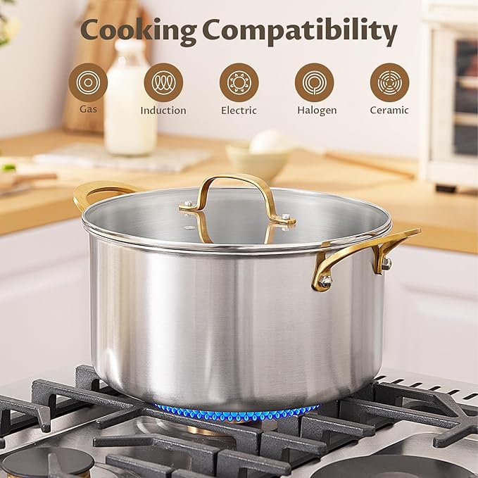 BEZIA 6 Quart Tri-Ply Stainless Steel Stockpot，Even Heat Distribution, Cooking Pot With Sturdy Handles, Oven-Safe Up to 500°F, Compatible with All Cooktops, Perfect for Soups & Stews, Silver