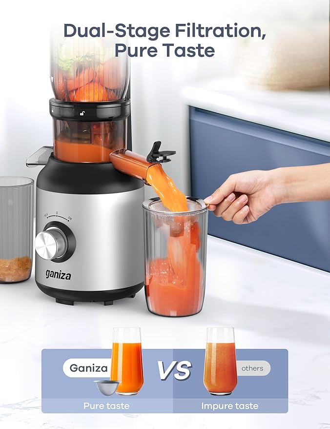 Ganiza Juicer Machines, Cold Press Juicer with 4.3" Large Feed Chute for Whole Fruits & Vegetables, Slow Masticating juicers with 3 Replace Filters for Batch Juicing, Easy to Clean, BPA Free(Silver)