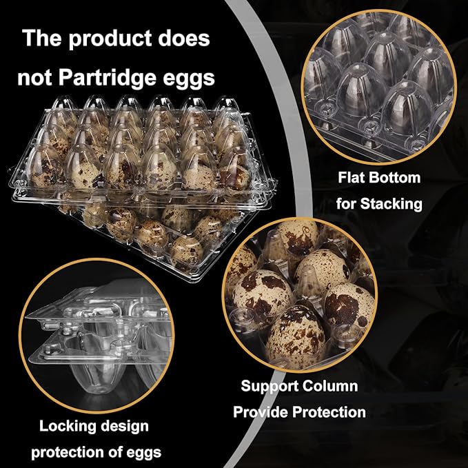 120 Pack Quail Egg Cartons - Clear Plastic Trays Hold 24 Eggs Securely, Ultimate Small Egg Holders for Bulk Storage and Display