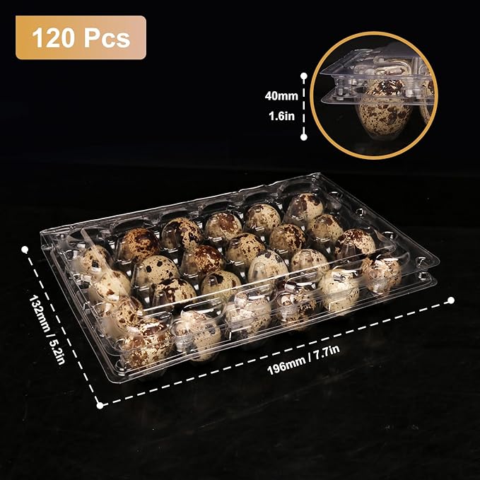 120 Pack Quail Egg Cartons - Clear Plastic Trays Hold 24 Eggs Securely, Ultimate Small Egg Holders for Bulk Storage and Display