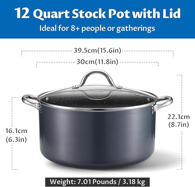 BEZIA 12 Quart Cooking Pot, Large Non Stick Induction Stock Pots with Lid, All Stove Compatible, 12 QT Aluminum Soup/Stew Pot For Big Gatherings, Grey