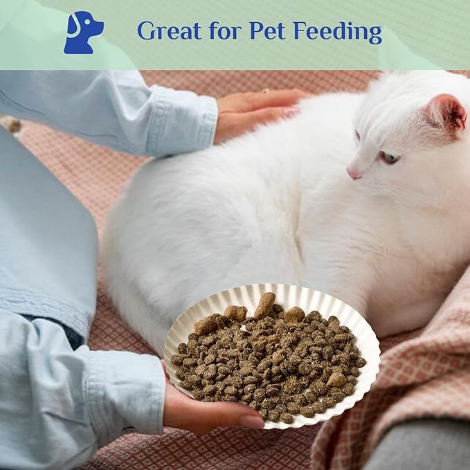 MUCHII 600 Count 6 Inch Paper Plates, White Uncoated Disposable Dessert Plates for Snacks, Cake, Candy