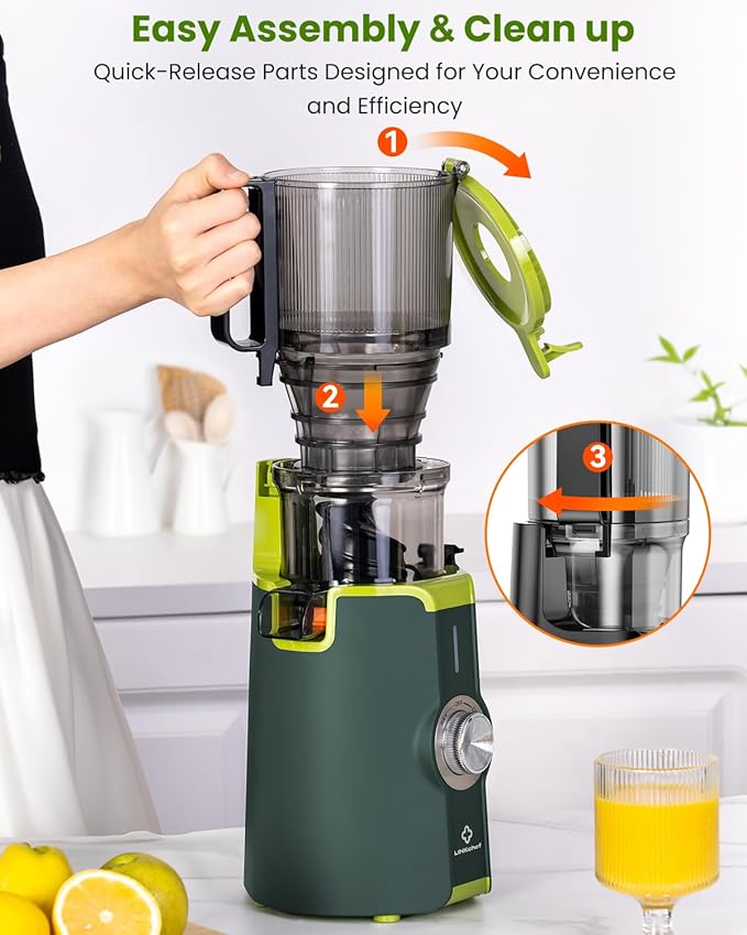 LINKChef Cold Press Juicer Machines for Vegetables and Fruits, 4.35" Wide Chute Masticating Juicer with Pulp Separator, Easy to Clean, BPA-Free, Compact Electric Slow Juice Extractor for Whole Fruit