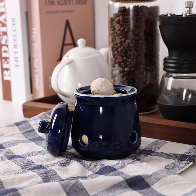 HAOTOP Ceramic Mini Garlic Keeper with Lid, Garlic Container Saver for Countertop, Keep Your Garlic Cloves Fresh (Navy)