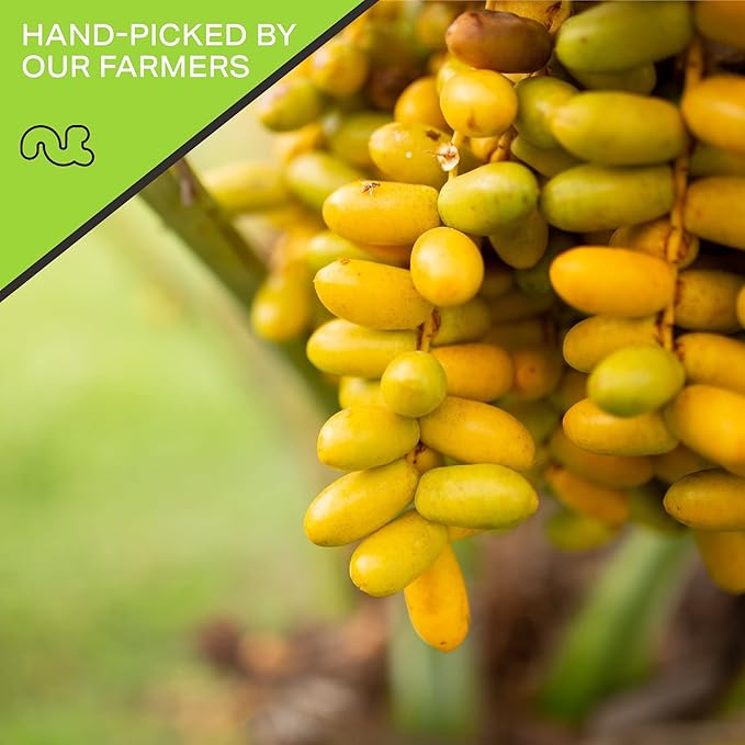 NUT CRAVINGS - Sun Dried Deglet Noor Dates Pitted, No Sugar Added (16oz, 1 LB) Bulk Dry Fruits Packed Fresh in Resealable Bag - Sweet Healthy Snack, Naturally Grown, Vegan, Kosher