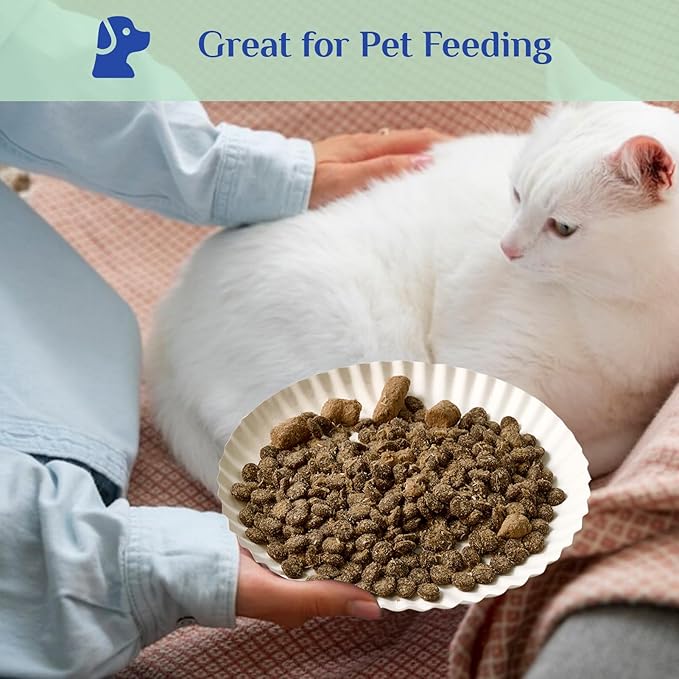 MUCHII 300 Count 9 Inch Paper Plates, Disposable Dinner Plates Bulk, White Plate Uncoated for Parties, Catering, Picnics, and DIY