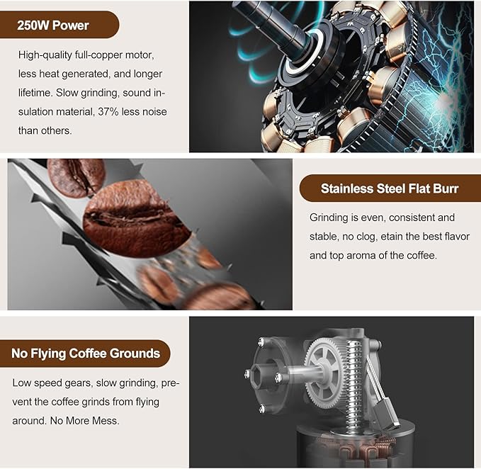 Cold Press Juicer Extractor Fruit Vegetable, Electric Coffee Grinder Burr Fine Coarse Grind for Beans Nuts, Celery Beet Carrot Wheatgrass Ginger Slow Juicer Machines Quiet BPA Free Easy To Clean