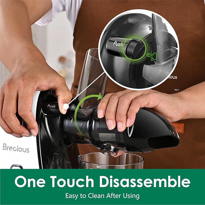 Slow Masticating Juicer,Brecious Cold Press Juicers with 2 Speed Modes & Quiet Motor,Juicers Machines Vegetable and Fruit with Reverse Function,Celery Juicer,BPA-Free,Easy to Clean (White)