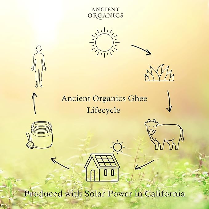 Ancient Organics Ghee, Organic Grass Fed Gluten Free Clarified Ghee Butter with Vitamins & Omegas, Lactose Free, 100% Certified Organic, Kosher, USDA Certified, Made in USA - 16 Fl Oz (Pack of 3)