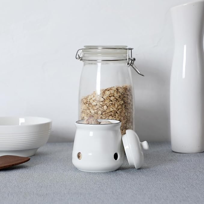 HAOTOP Ceramic Mini Garlic Keeper with Lid, Garlic Container Saver for Countertop, Keep Your Garlic Cloves Fresh (White)