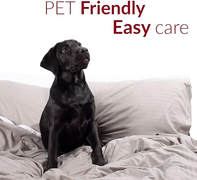 Mellanni Extra Deep Queen Sheets - 4 PC Iconic Collection Bedding - Hotel Luxury, Ultra Soft, Cooling Bed Sheets - Wrinkle, Fade, Stain Resistant (Queen, Pinstripe Gray)