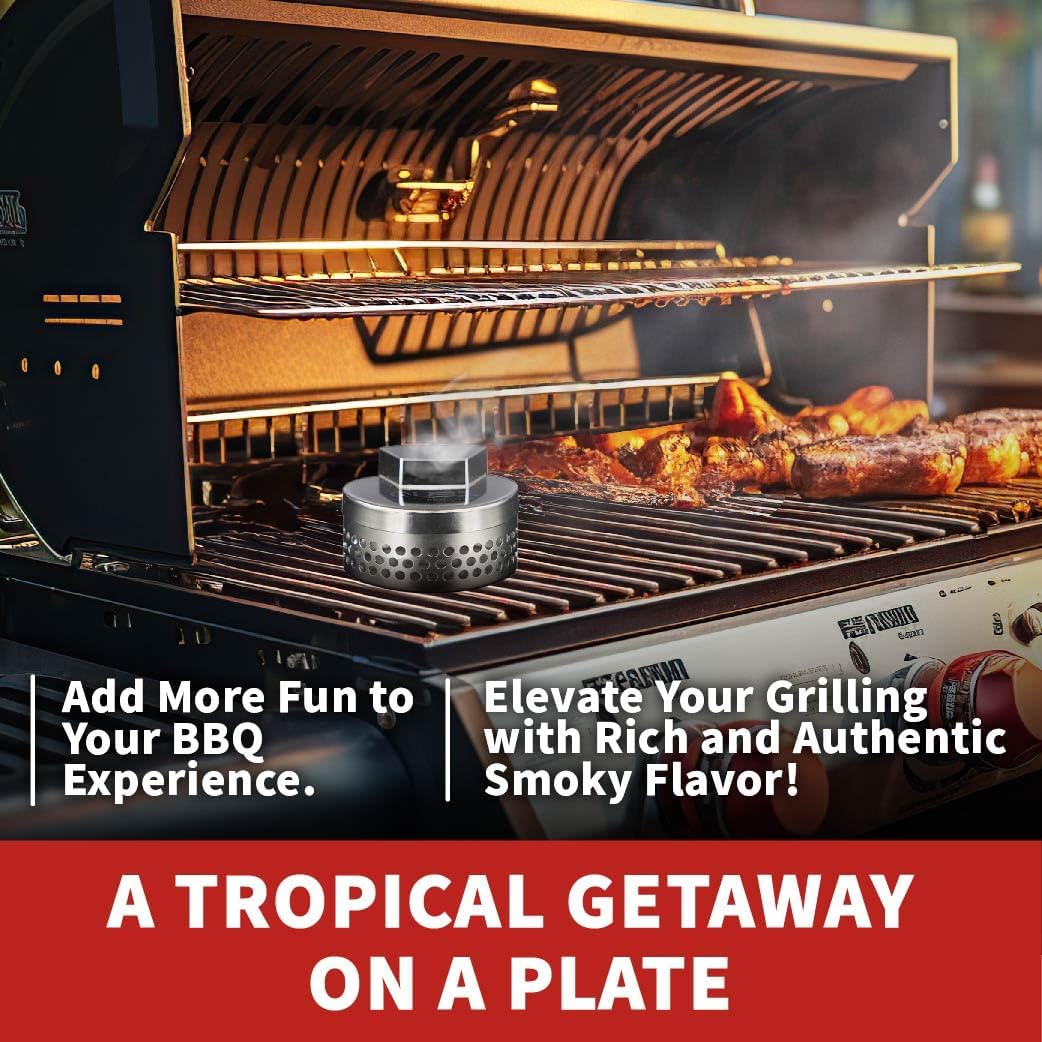 Compact Smoker Box for Grill - Add Authentic Smokey BBQ Flavor to Gas, Charcoal & Small Grills Stainless Steel