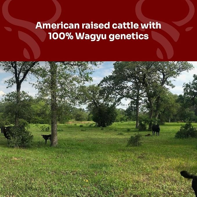 Wagyu Republic Beef Tallow ⎸11oz Glass Jar, Grass Fed Wagyu Beef Tallow, Great for Cooking Steak or as Tallow Balm ⎸ Keto, Gluten Free Protein Snacks for Adults, Perfect for Whole 30 or Carnivore Diet