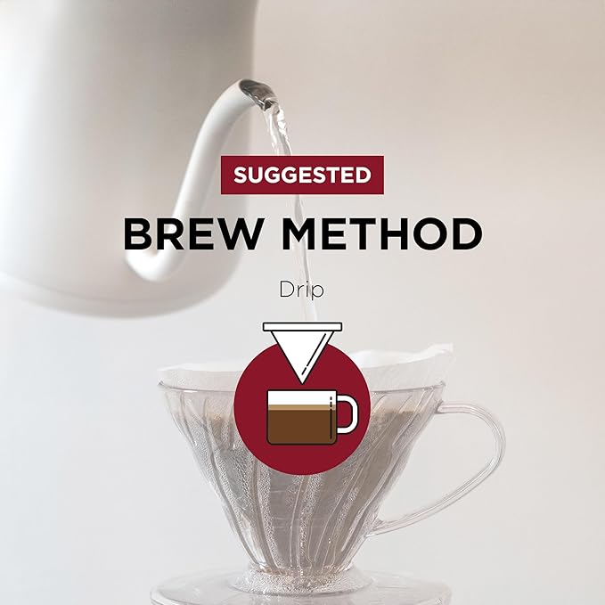 Fonte Coffee Roaster - French Press Coffee - Medium-Dark Fresh Roast - Roasted in Seattle - Single Origin - Bright, Chocolately, Balanced - 12 oz - Fonte AA