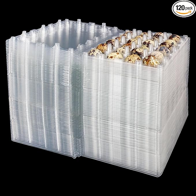 120 Pack Quail Egg Cartons - Clear Plastic Trays Hold 24 Eggs Securely, Ultimate Small Egg Holders for Bulk Storage and Display