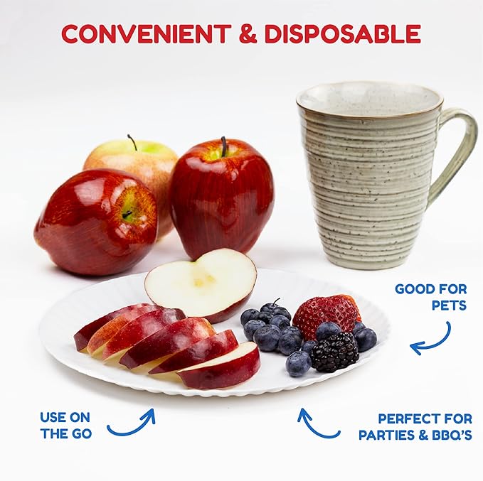 Hygloss Paper Plates - Uncoated White Plate - Use for Foodware, Events, Activities, Crafts Projects and More - Environmentally Friendly - Recyclable and Disposable - 9-Inches - 100 Pack