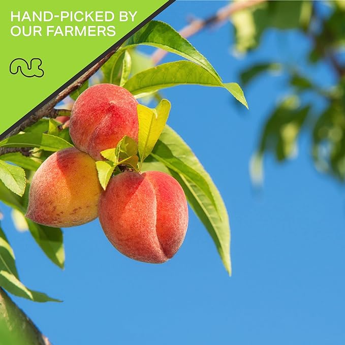 NUT CRAVINGS - Sun Dried California Peaches, No Sugar Added (80oz, 5 LB) Bulk Dry Fruits Packed Fresh in Resealable Bag - Sweet Healthy Snack, Naturally Grown, Vegan, Kosher