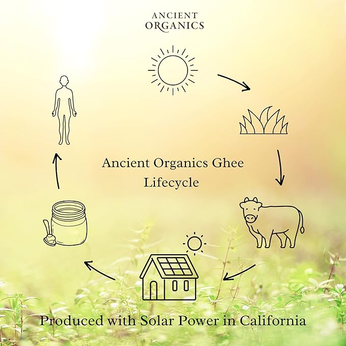 Ancient Organics Ghee, Organic Grass Fed Ghee Butter – Gluten Free Ghee, Clarified Butter, Vitamins & Omegas, Lactose Reduced, 100% Certified Organic, Kosher, USDA Certified – 16 Fl Oz (Pack of 1)