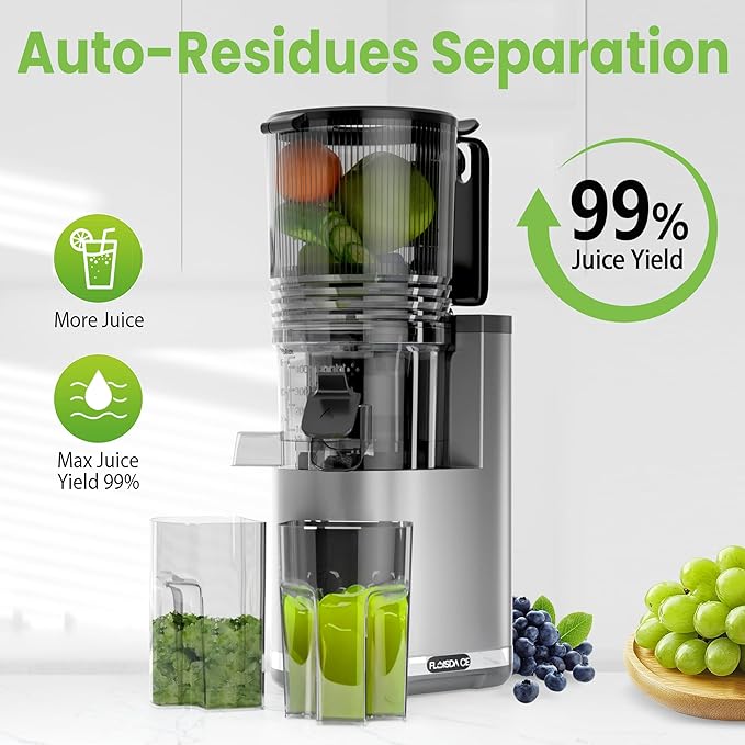Cold Press Juicer, 6.5" Extra Large Feed Chute Juicer Machines, Hands-Free 350W Slow Masticating Juicer Machines with High Juice Yield for Whole Vegetables & Fruits, BPA Free, Silver