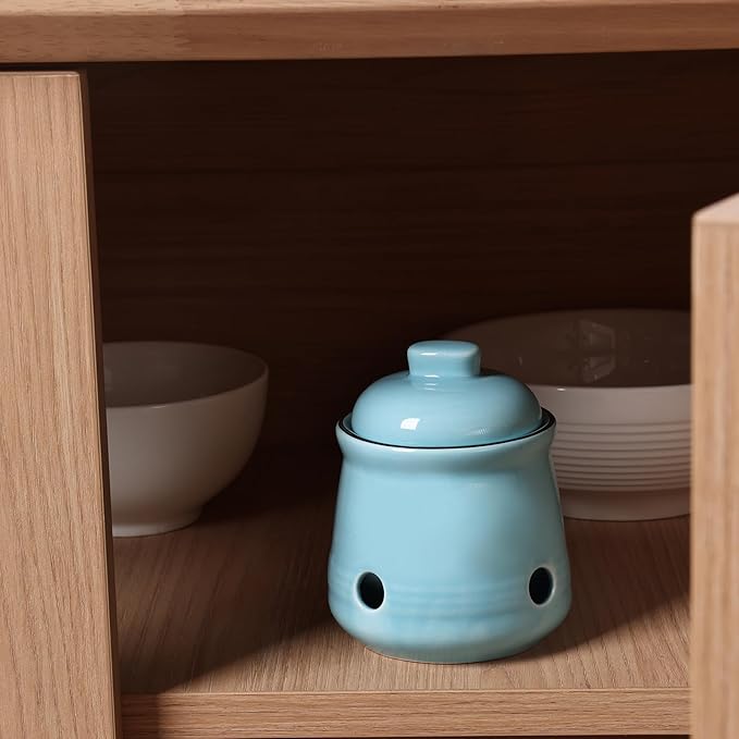 HAOTOP Ceramic Mini Garlic Keeper with Lid, Garlic Container Saver for Countertop, Keep Your Garlic Cloves Fresh (Turquoise)