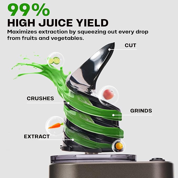 Cold Press Juicer, 5.4" Wide Feed Chute Juicer Machines for Vegetable and Fruit, Slow Masticating Juicer with AC Moter, Easy to Clean, AC-Grey
