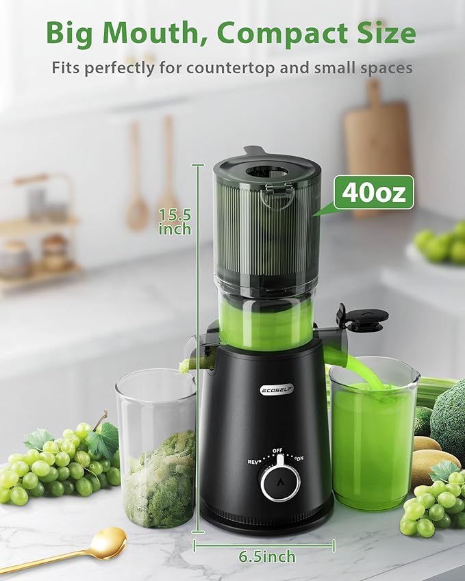 Cold Press Juicer, ECOSELF Juicer Machines with Large Feed Chute for Family Needs, Hands Free For Whole Fruits & Vegetables, Self Feeding for Juice Extractor Machine, Easy to Clean