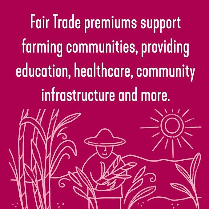 Wholesome Sweeteners 24-Ounce Organic Light Brown Sugar, Fair Trade, Non GMO, Gluten Free & Vegan, Sugar for Baking and Glazing, 1 Pack