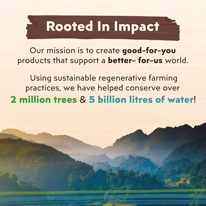 Big Tree Farms Organic Brown Coconut Sugar - Coconut Palm Sugar, Unrefined, Fine Crystals, Cane Sugar Replacement, Coconut Blossom Nectar, Vegan, Perfect for Baking - 1 Pound (Pack of 1)