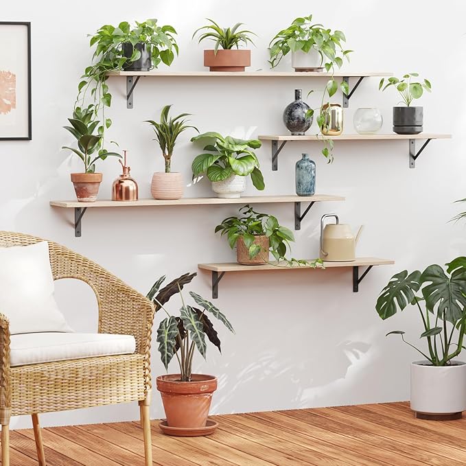 DINZI LVJ Long Wall Shelves, 31.5 Inch Wall Mounted Shelves Set of 2, Easy-to-Install, Wall Storage Ledges with Sturdy Metal Brackets for Living Room, Bathroom, Bedroom, Kitchen, Natural