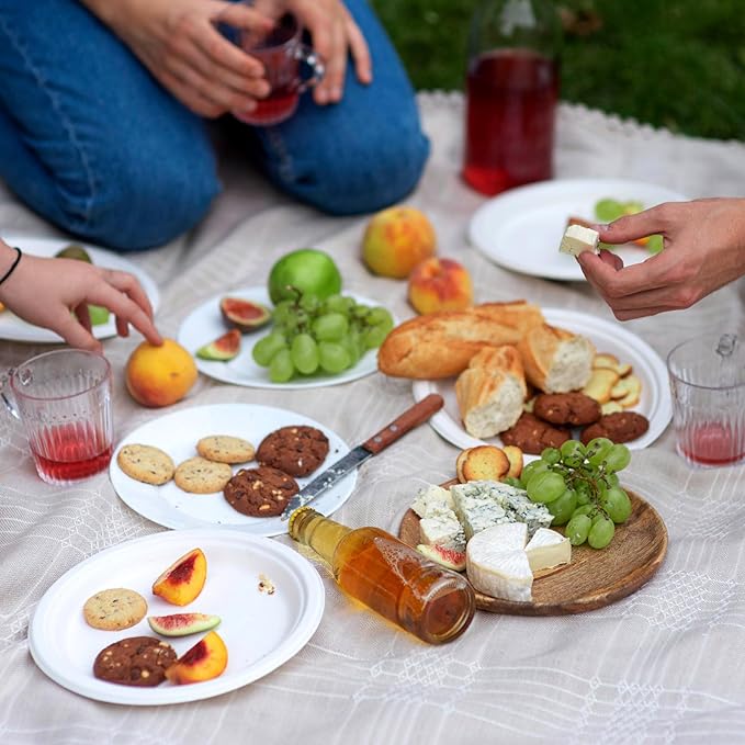 WELLIFE 100% Compostable Paper Plates 9 Inch, 125-Pack Heavy Duty Paper Plates Bulk,Biodegradable Bagasse,Eco-Friendly Disposable Dinner Plate for BBQ,Picnic,Party (BPI Certified,Microwaveable)