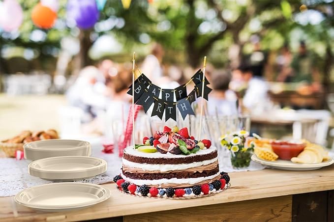 Exquisite Party Solids Ivory Plastic Plates For Party 9" Ivory Disposable Plates Heavy Duty Supplies 100 Pcs Plastic Dinnerware Sets Heavy Duty 350 GSM Disposable Dinnerware Set