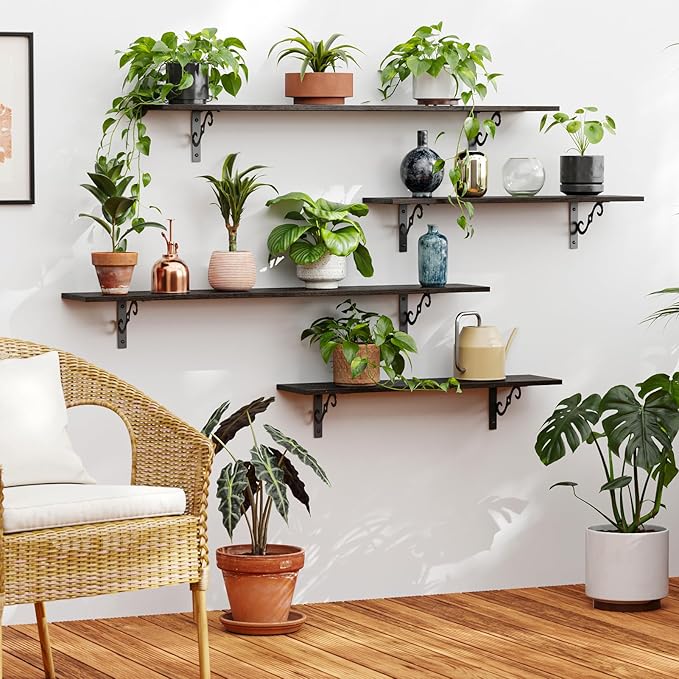 DINZI LVJ Long Wall Shelves, 31.5 Inch Large Floating Shelves Set of 2, Wide Display Shelf Wall Mounted with Brackets, Easy Hanging for Living Room, Toilet, Office, Bedroom, Espresso