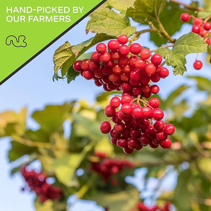 NUT CRAVINGS - Sun Dried Whole Cranberries, Lightly Sweetened (80oz, 5 LB) Bulk Dry Fruits Packed Fresh in Resealable Bag - Sweet Healthy Snack, Naturally Grown, Vegan, Kosher