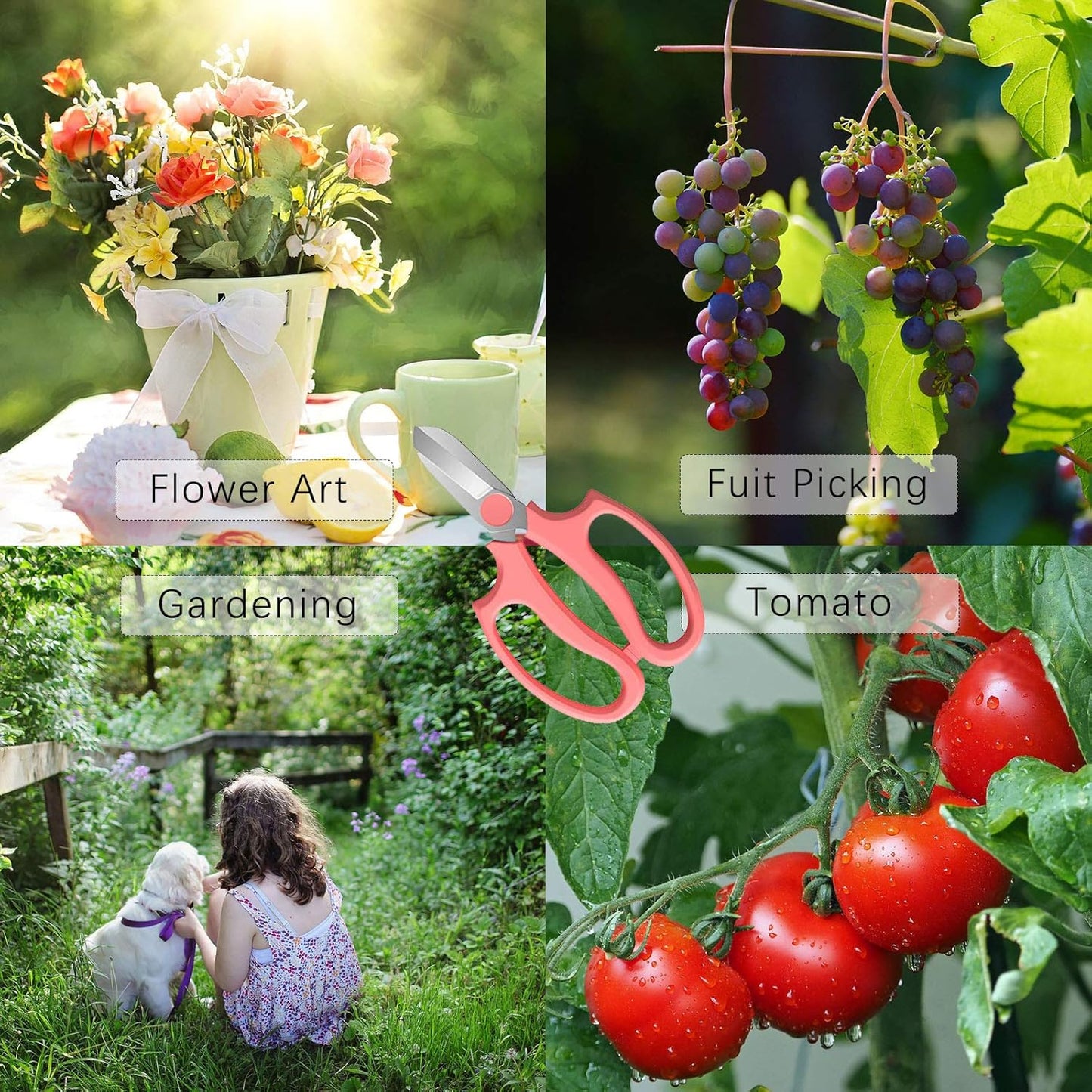 Leize Flower Scissors, Premium Thickened Stainless Steel Floral Shears, Strong Pruner for Flowers, Branches and Leaves (Pink)