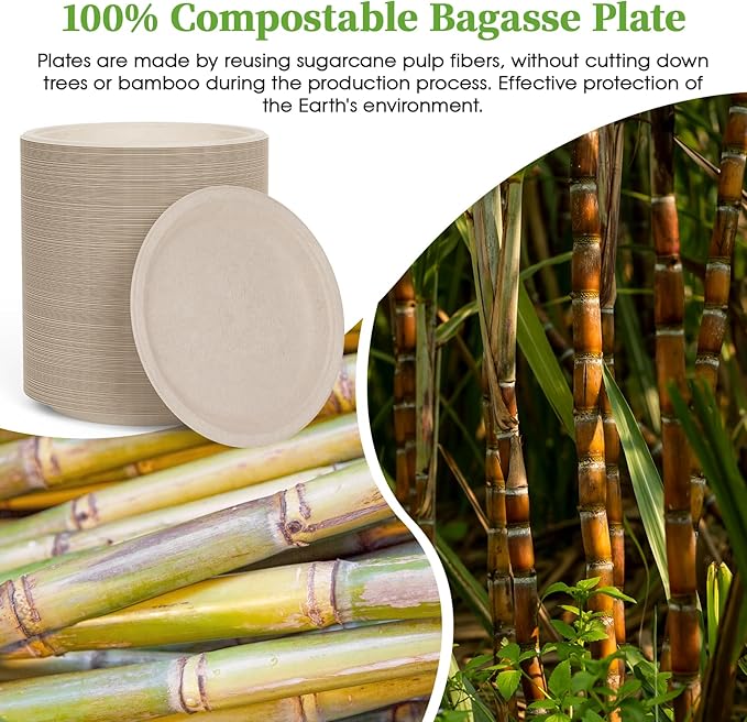 ECOLipak 6 Inch Disposable Compostable Small Paper Plates, 500 Pack Recycled Sugarcane Bagasse Biodegradable Heavy Duty Mini Dinner Appetizer Cake Dessert Plates for Party(Nature)