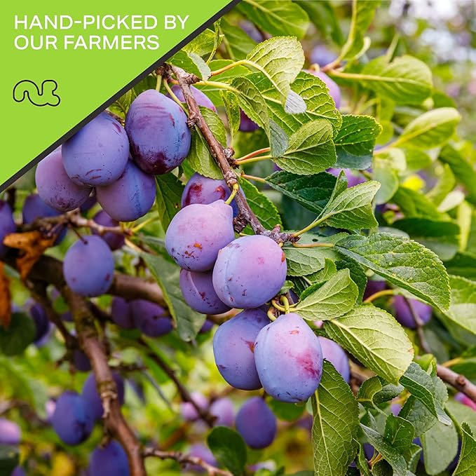 NUT CRAVINGS - Dried Prunes Pitted Unsweetened, Dry Plums No Sugar Added (48oz, 3 LB) Bulk Dry Fruits Packed Fresh in Resealable Bag - Sweet Healthy Snack, Naturally Grown, Vegan, Kosher