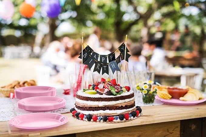 Exquisite Party Solids Pink Plastic Plates For Party 10" Pink Disposable Plates Heavy Duty Supplies 100 Pcs Plastic Dinnerware Sets Heavy Duty 350 GSM Disposable Dinnerware Set