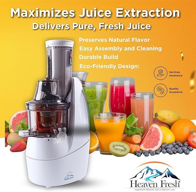 Cold Press Slow Masticating Juicer, Ultra-Quiet 240W Motor, Maximized Juice Yield, Included Frozen Dessert Strainer, Drip-Free Cap - Teal