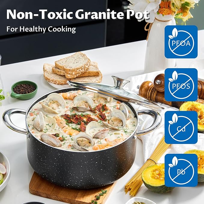 BEZIA 6 Quart Nonstick Stock Pot with Lid, Induction Cooking Pot Soup Pot, Non-toxic and Oven Safe, Perfect for Stews, Soups and All Stovetops, PFOA PFAS Free