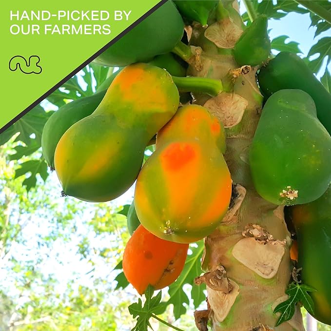 NUT CRAVINGS - Sun Dried Papaya Chunks, Lightly Sweetened (80oz, 5 LB) Bulk Dry Fruits Packed Fresh in Resealable Bag - Sweet Healthy Snack, Naturally Grown, Vegan, Kosher