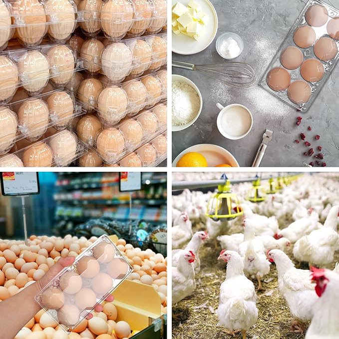 150 Pack Bulk Egg Cartons, Clear Plastic Chicken Egg Holders, Egg Tray Carton Holder for Home & Kitchen, Farm & Market Use, An Eco-Friendly Egg Storage Solution, 8 Grids，(Medium Size)…