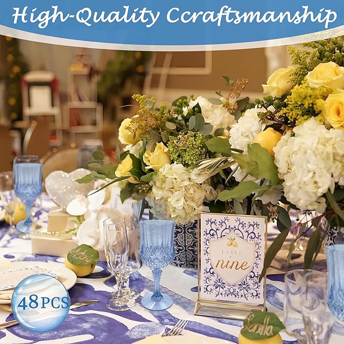 Blue Plastic Wine Glasses，Plastic Goblets for Parties，Drinking Glasses for Wedding Reception, Grand Event Party Supplies (48, Blue)