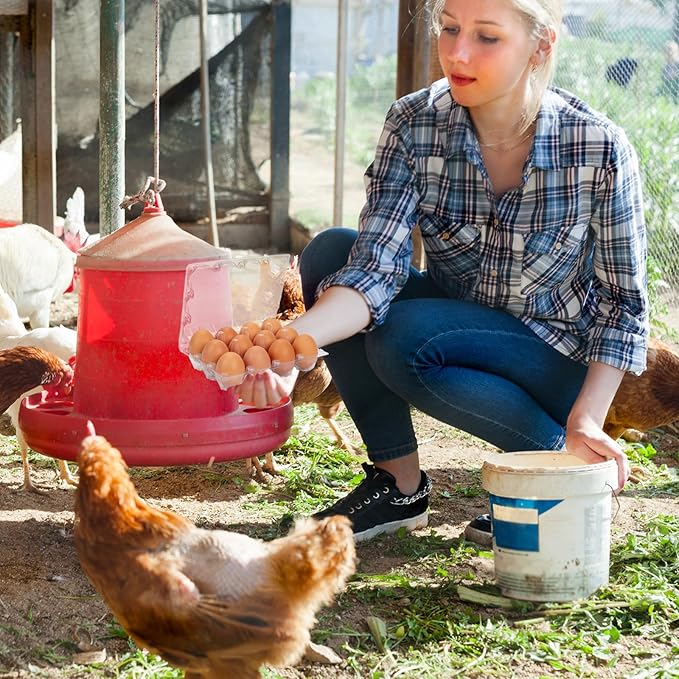 60 Pack Plastic Egg Cartons Cheap Bulk 1 Dozen Clear Empty Egg Cartons for Chicken Eggs, Reusable Egg Containers for Home Ranch Chicken Farm, Commercial Business Market Display, 3x4 Grids, Large