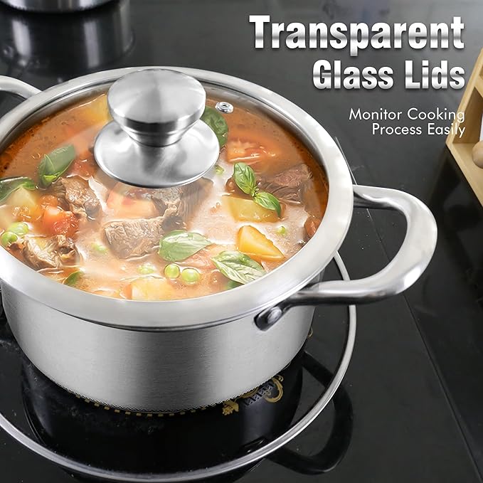 AuFranc™ Hybrid Nonstick 6 Quart Stainless Steel Stockpot with Glass Lid, Induction Stock Pot with Honeycomb Carving, Non-stick Soup Pot Compatible with All Cooktops, Non-Toxic, Dishwasher & Oven Safe
