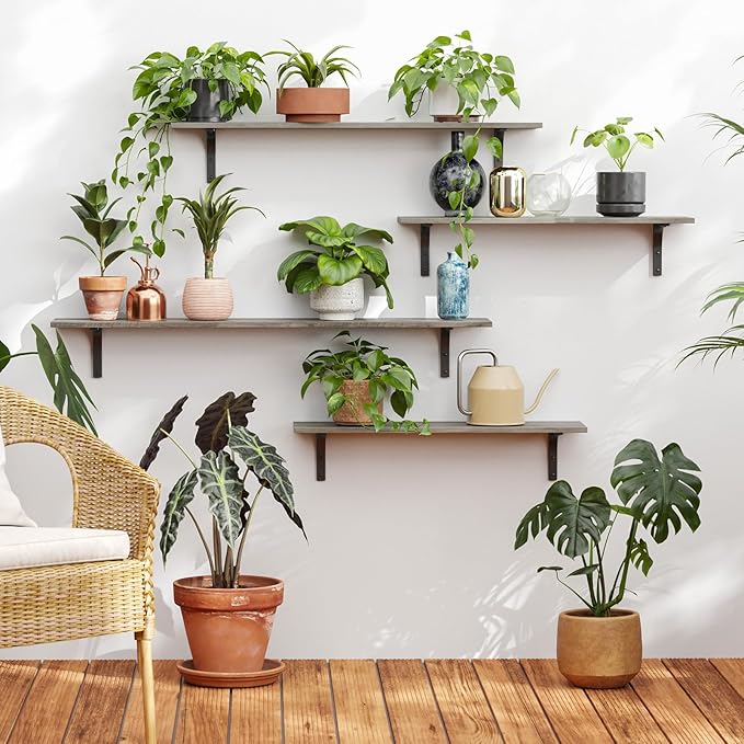 DINZI LVJ Long Wall Shelves, 31.5 Inch Wall Mounted Shelves Set of 2, Easy-to-Install, Wall Storage Ledges with Sturdy Metal Brackets for Living Room, Bathroom, Bedroom, Kitchen, Gray Wash