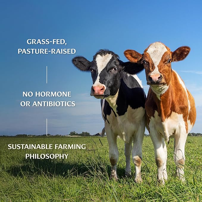 Banyan Botanicals Chai Spiced Ghee – Cultured Organic Ghee (Clarified Butter) with Cinnamon & Cardamom – Tasty Oil & Butter Alternative for Cooking & Baking – 5.65 oz – Non-GMO Gluten Free Vegetarian