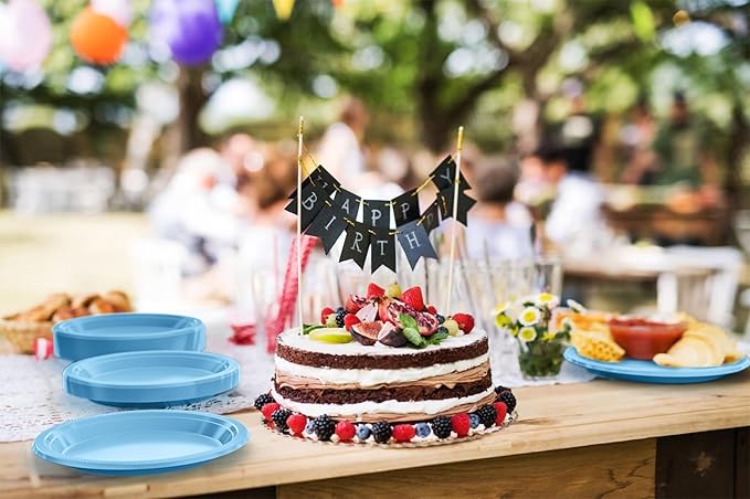 Exquisite Party Solids Light Blue Plastic Plates For Party 9" Light Blue Disposable Plates Heavy Duty Supplies 100 Pcs Plastic Dinnerware Sets Heavy Duty 350 GSM Disposable Dinnerware Set