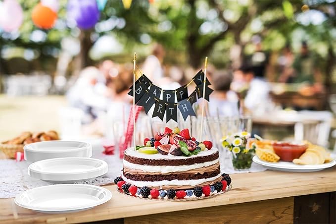 Exquisite Party Solids White Plastic Plates For Party 10" White Disposable Plates Heavy Duty Supplies 100 Pcs Plastic Dinnerware Sets Heavy Duty 350 GSM Disposable Dinnerware Set