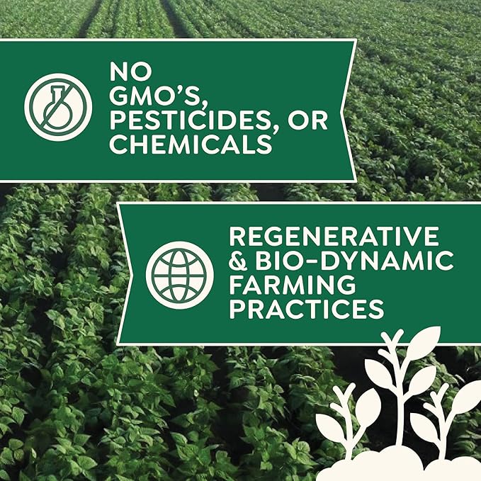 Organic Rye Flour 5 lb - Non-GMO, USDA Organic, Vegan, For Baking Sourdough, Bread, and More! Grown In USA, Farmed From Regenerative Soil by Doudlah Farms